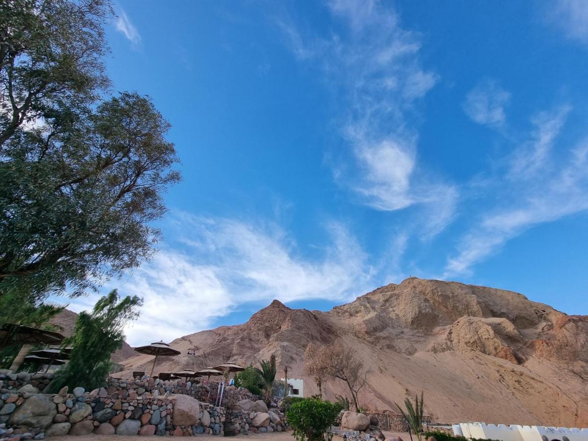 The Bedouin Moon Hotel Dahab Luaran gambar